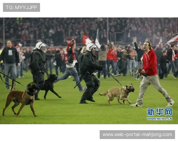 球迷闯入赛场处罚标准修订，德甲联盟加强安保协作